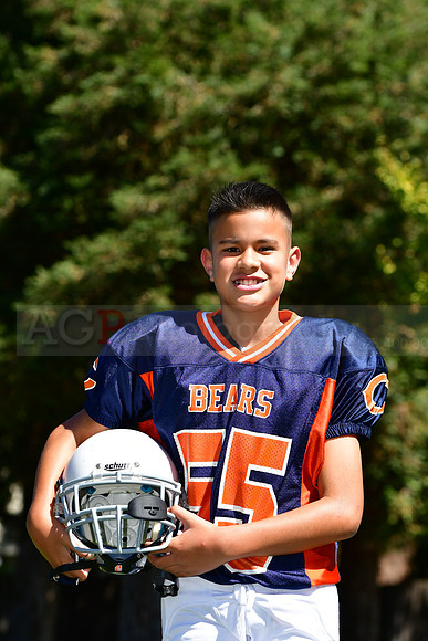 Bears075