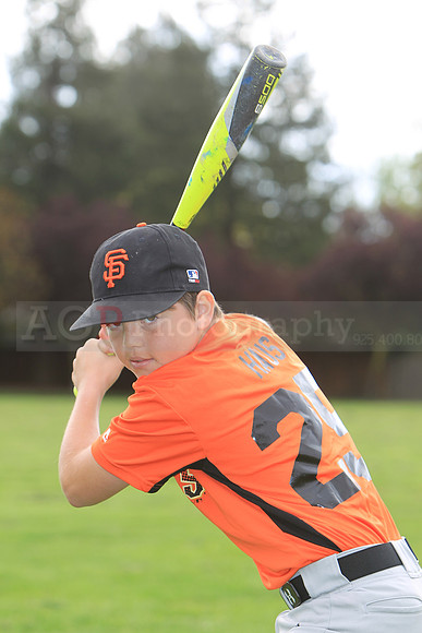AAAGiants067