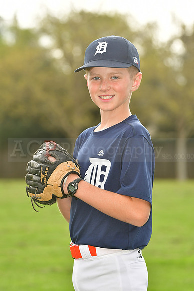 AATigers019