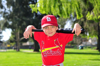 TBCardinals012