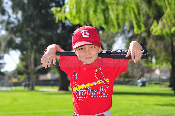 TBCardinals012