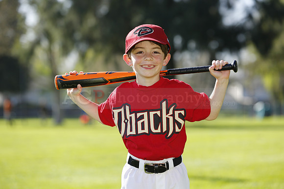 FMDBacks026