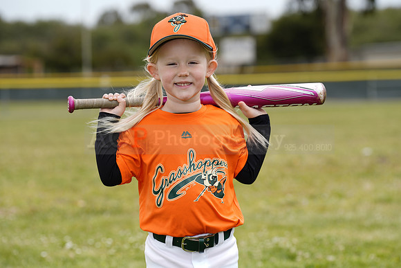 TBGrasshoppers00091