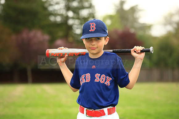 AARedsox081