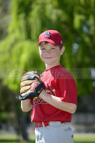 AAA Cards069