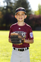 ATimberRattlers001