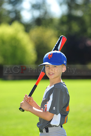 MTigers022