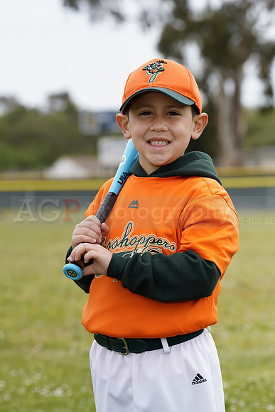 TBGrasshoppers00006