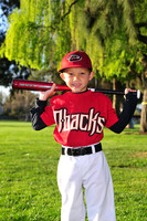 FMDBacks004