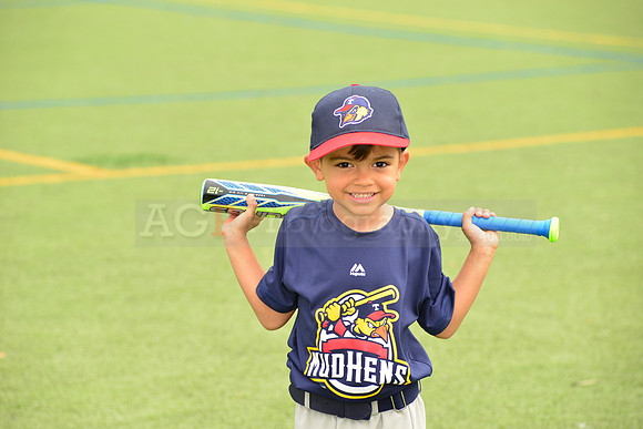 SB_TB_mudhens00060