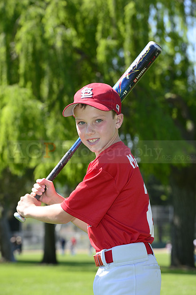 AAA Cards004