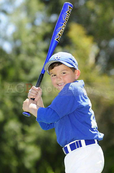 FarmDodgers064