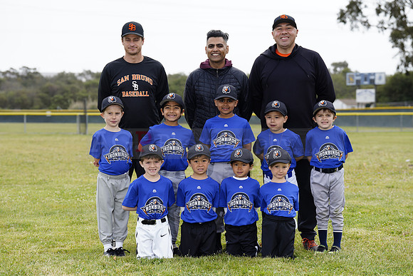 TBIronBirds00143