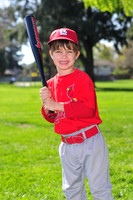 TBCardinals015