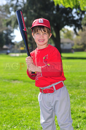 TBCardinals015