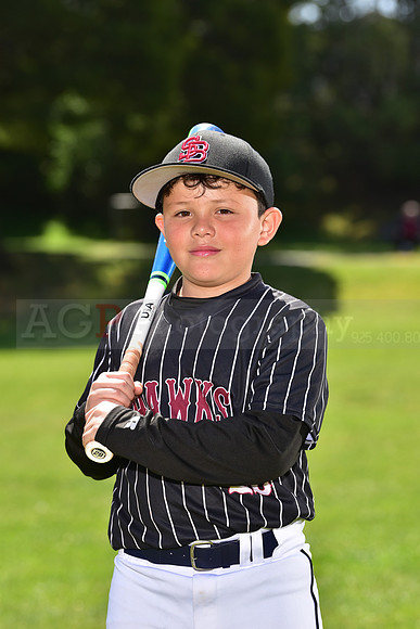 SB_PW_Hawks039
