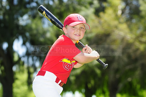 FarmCards009