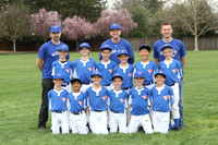 AAA BLUE JAYS