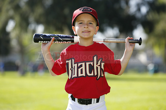 FMDBacks079