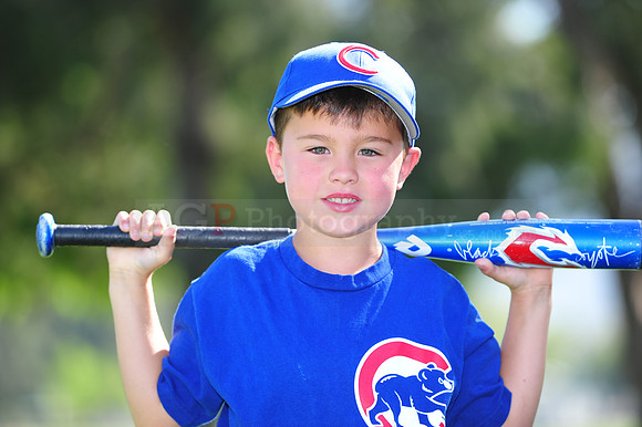 Farm_Cubs067