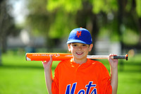 AA METS005