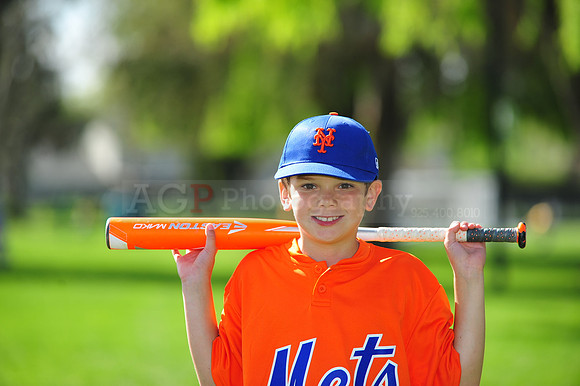 AA METS005