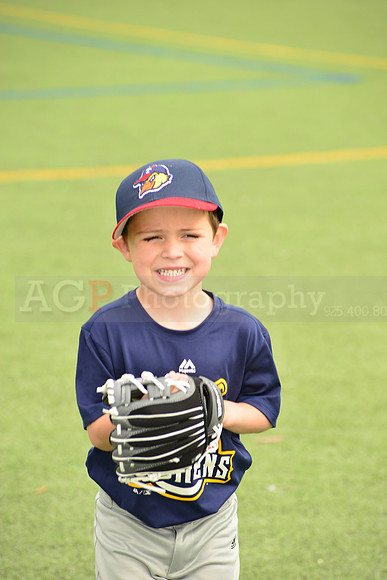 SB_TB_mudhens00006
