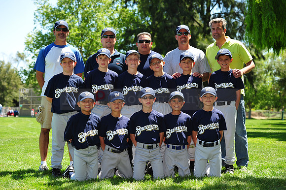 AA Brewers120