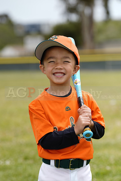 TBGrasshoppers00027