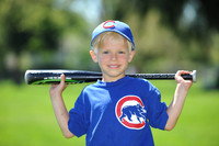 2012 T-Ball Cubs