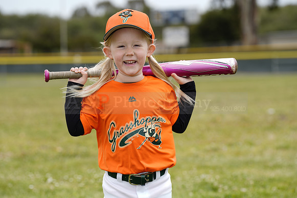 TBGrasshoppers00093