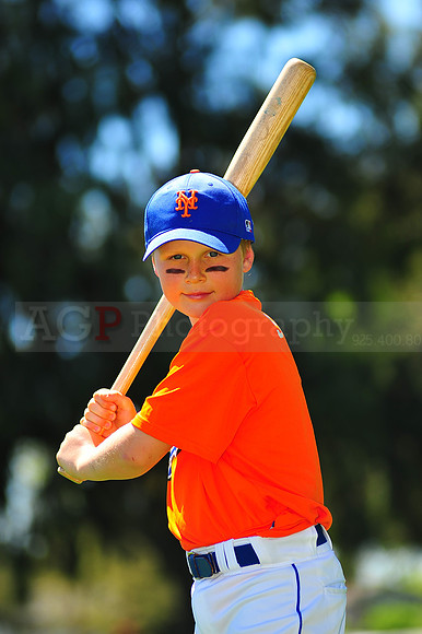 AAA_Mets045