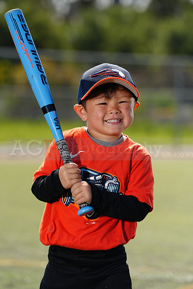 SB_TBALL_HotRods081