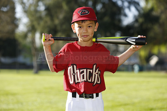 AD-Backs035