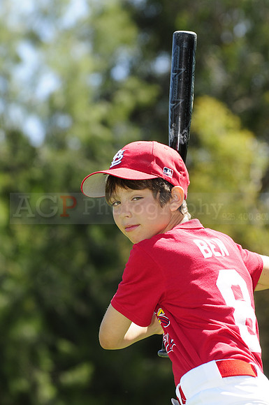 ACardinals077