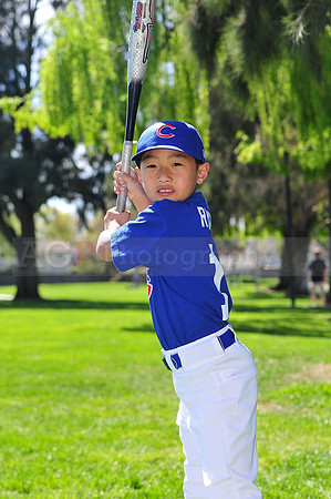 FMCubs016
