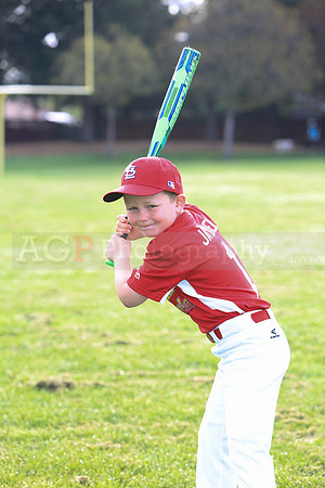 AACardinals048