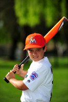 MMarlins010