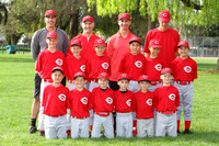 AA REDS