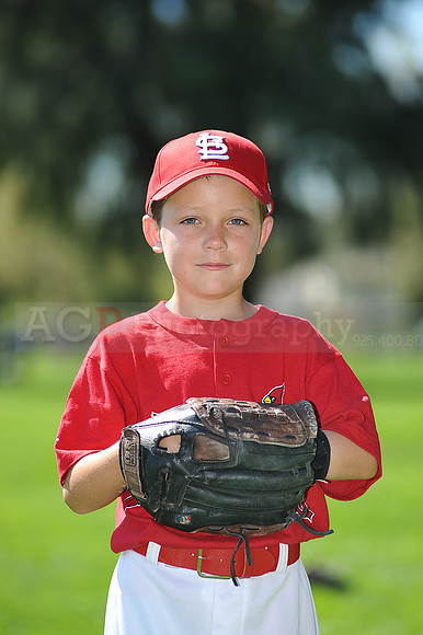 A_Cardinals004