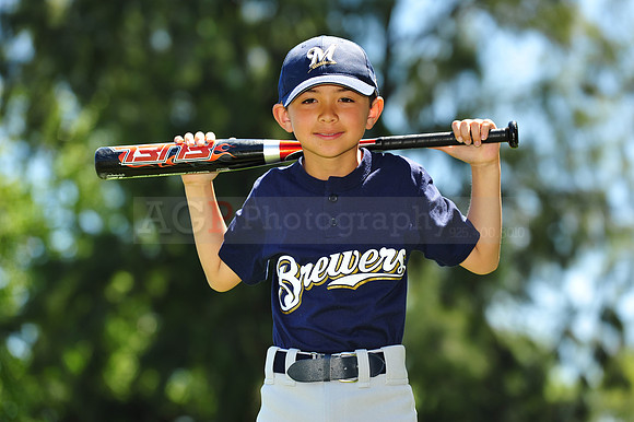 AA Brewers061