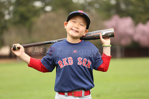 AARedsox081