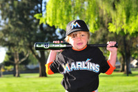 TBMarlins017