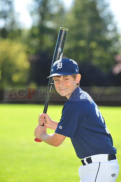MTigers028