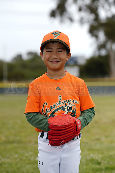 TBGrasshoppers00112