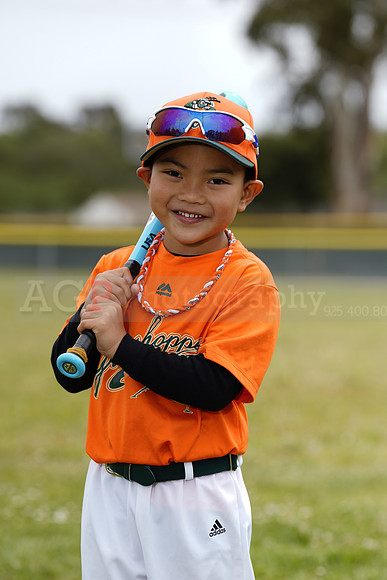TBGrasshoppers00106