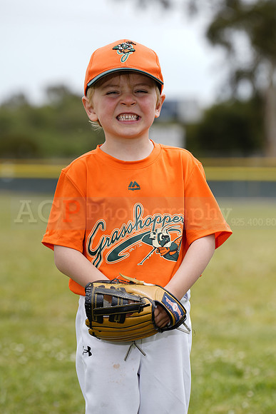 TBGrasshoppers00044