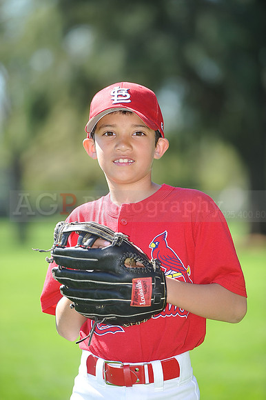 AA_Cardinals058