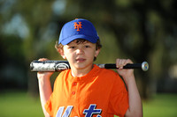 A_Mets009