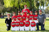 FARM D-BACKS
